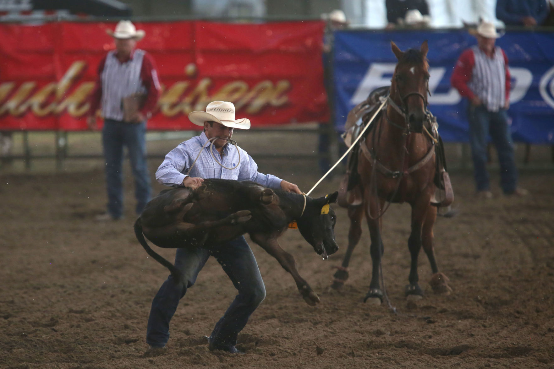 PRCA: Friday